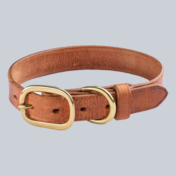 Premium Hermann Oak leather dog collar, expertly crafted by Nova X Leather in Melbourne
