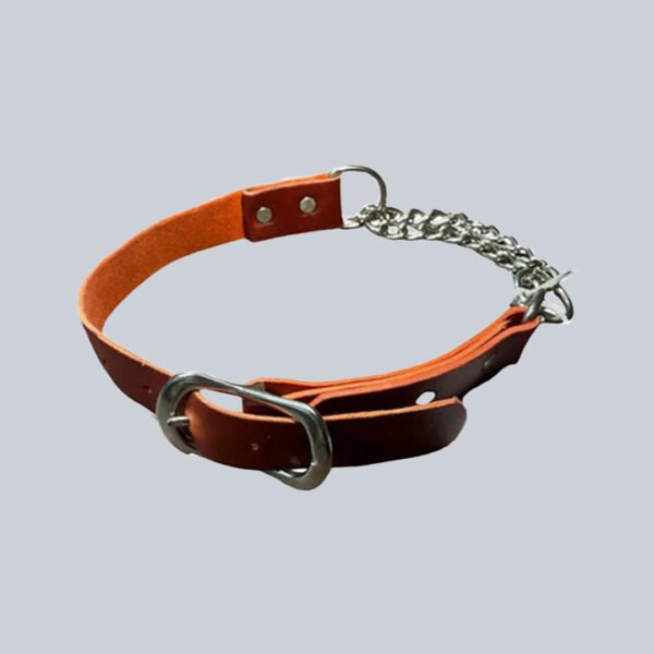 Red Heidy martingale leather dog collar, durable handmade design from Nova X Leather Epping