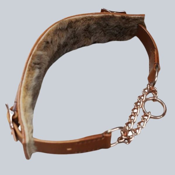 Exclusive Presidential leather dog collar, premium handcrafted design by Nova X Leather Australia